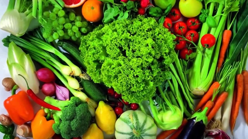 Итоги II Международного аграрного форума овощных культур «ОвощКульт»