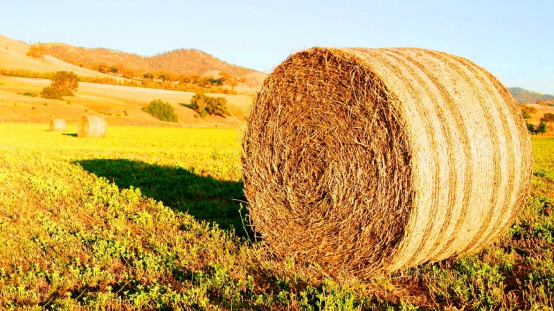 В Ростовской области сельхозпроизводители смогут оформить субсидии через сеть МФЦ