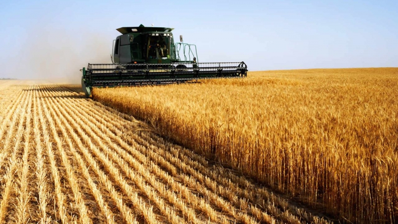 В Орловской области распределены субсидии на развитие сельского хозяйства в 2016 году