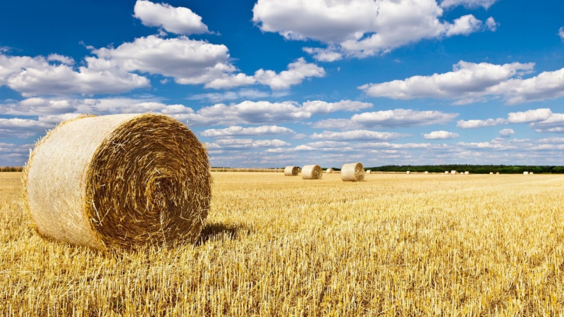 ОНФ приветствует решение о введении должности омбудсмена по делам фермеров в Краснодарском крае